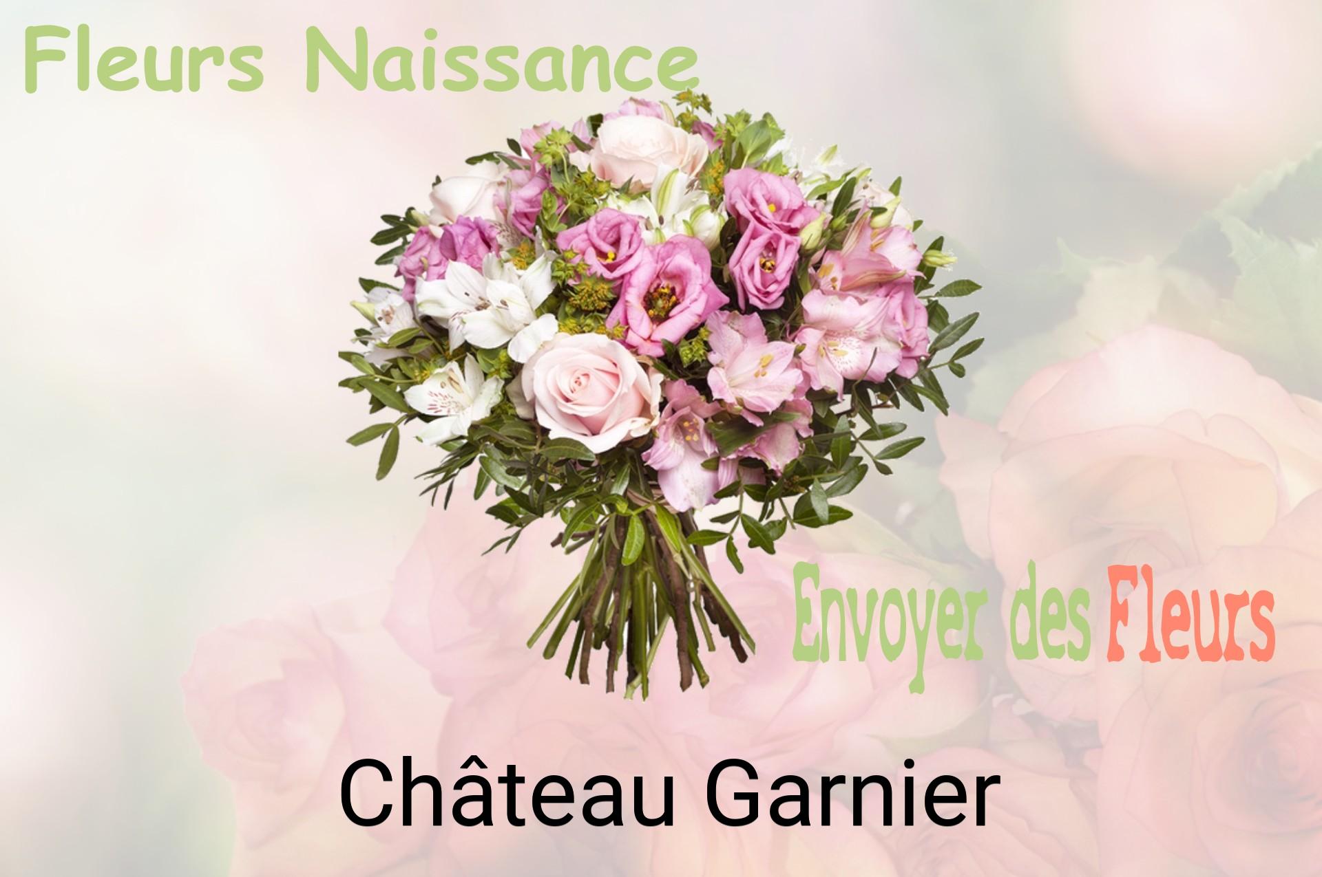 Bouquet de fleurs de naissance livré à Château-Garnier