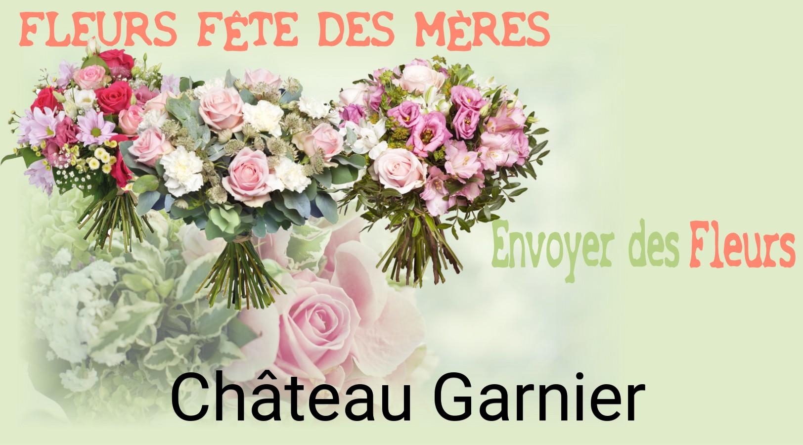 Bouquet de Fête des Mères livré à Château-Garnier